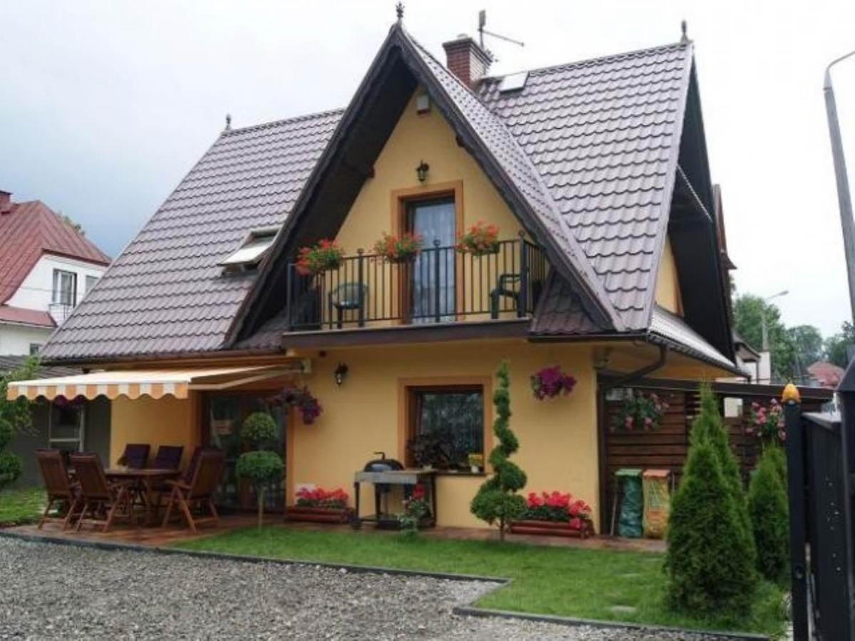 Апартаменти Pokoje U Bodzia 2 Закопане Екстер'єр фото